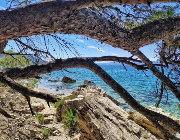 Apartmani Skejic Spalato Esterno foto